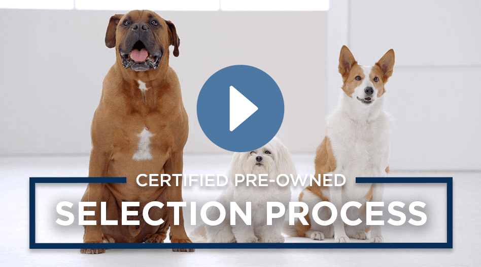 Watch a video about GM Certified Pre-owned (CPO) vehicle selection process details
